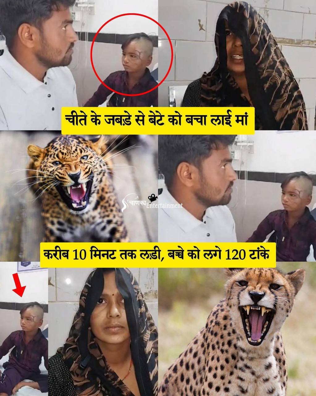 IMG_20250323_220212_382