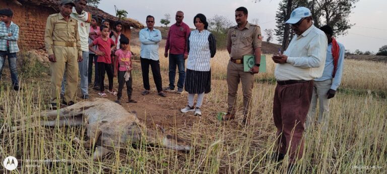 IMG_20250324_211206_656