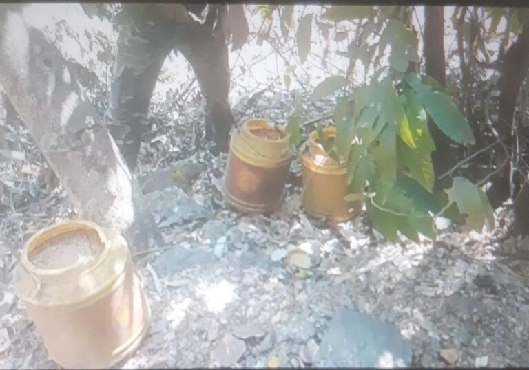 IMG_20250325_190504_774