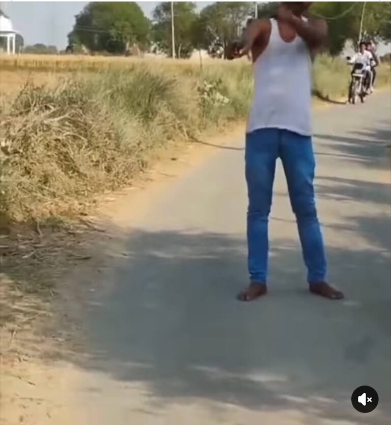 IMG_20250329_123129_498