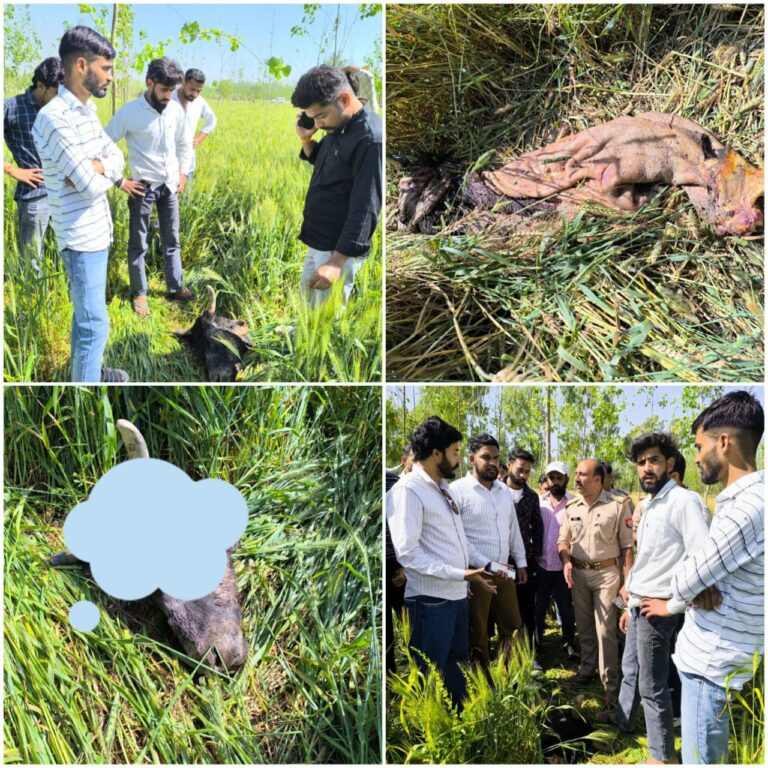 IMG_20250330_180250_975