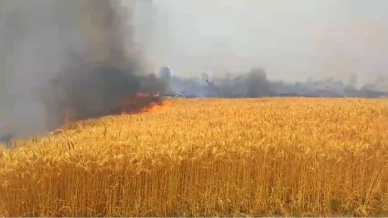 IMG_20250331_080546_216