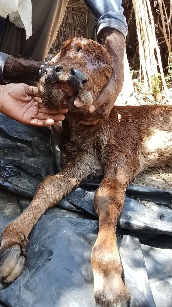 IMG_20250331_134116_690