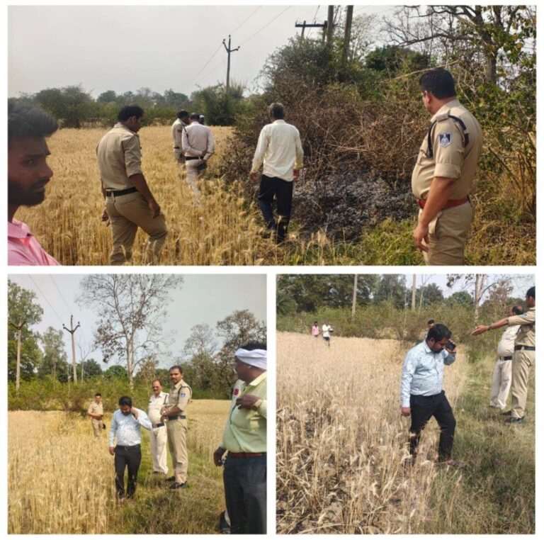 IMG_20250402_091621_042