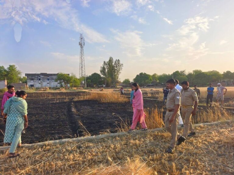 IMG_20250404_074325_779