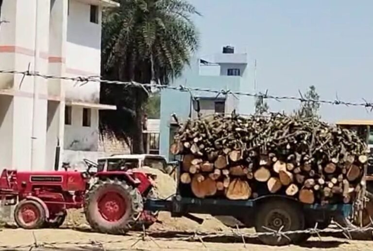 IMG_20250404_141910_922