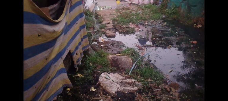 IMG_20250404_200900_306