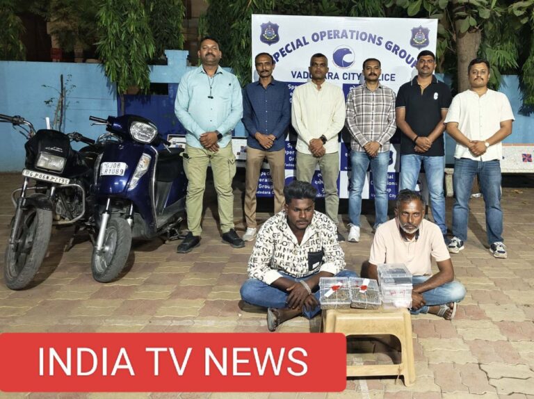 IMG_20250405_101534_973