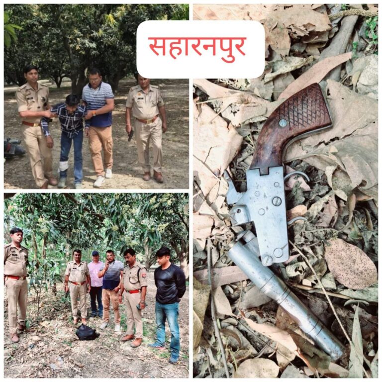 IMG_20250405_184206_704