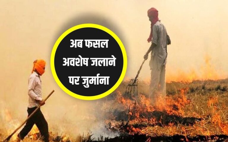 IMG_20250406_122308_972