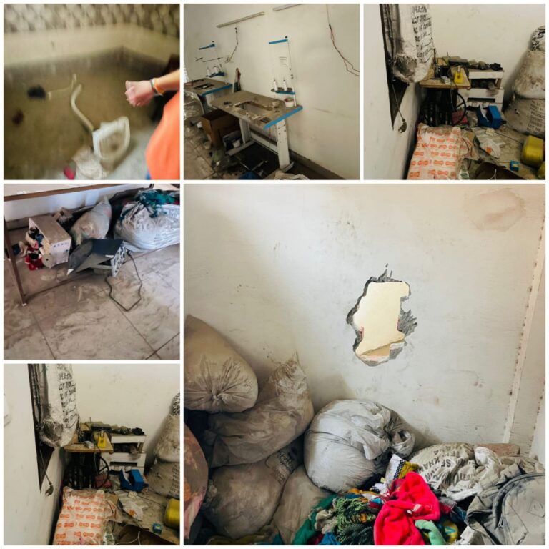 IMG_20250406_173411_928