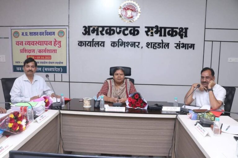 IMG_20250409_192248_476