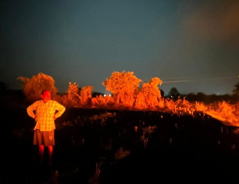 IMG_20250410_114925_743