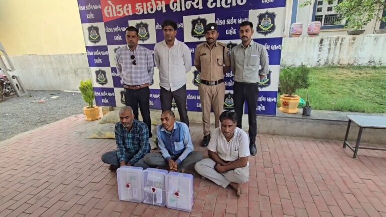 IMG_20250411_115529_603