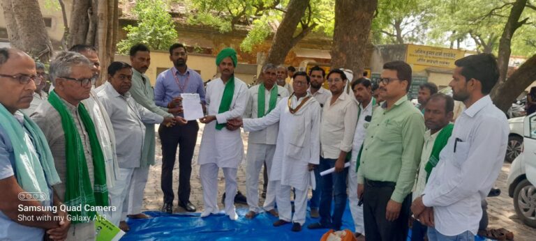 IMG_20250411_142210_746