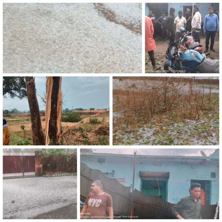 IMG_20250411_190445_187