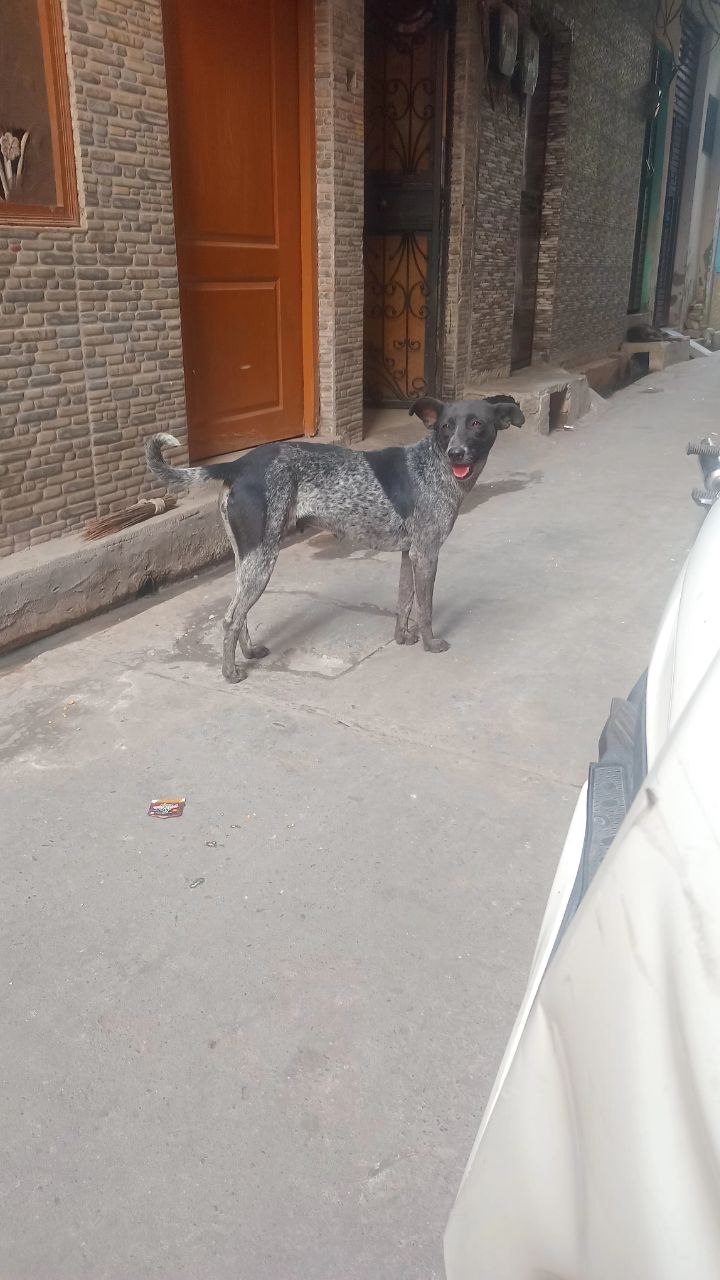 IMG_20250416_191647_242