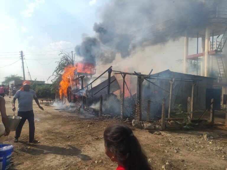 IMG_20250418_123737_437