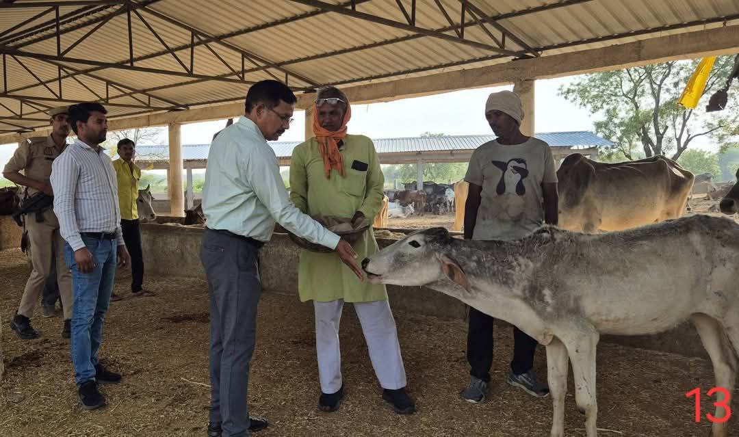 IMG_20250419_104245_054