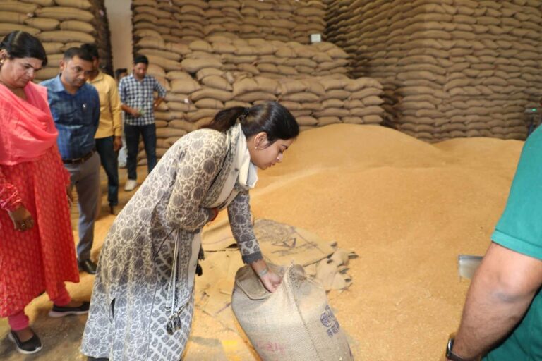 IMG_20250422_155144_287