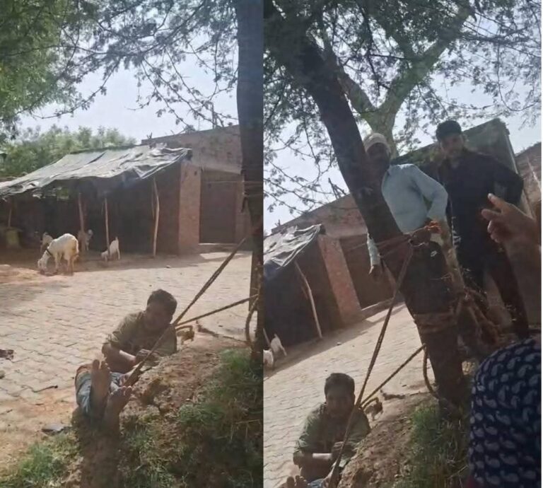 IMG_20250422_191252_538