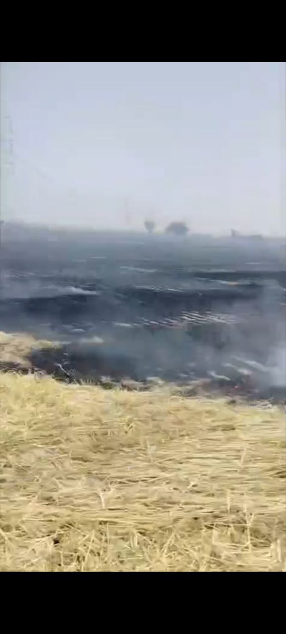 IMG_20250422_192033_802