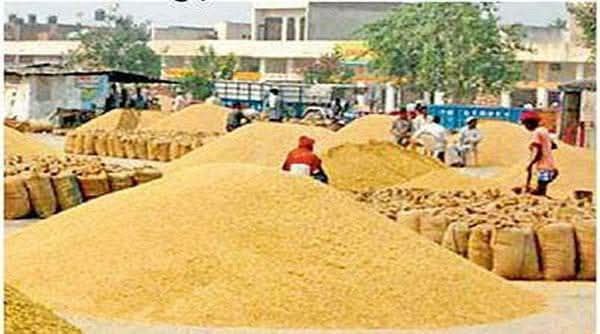 IMG_20250423_154747_634