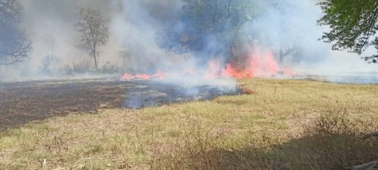 IMG_20250425_201113_922