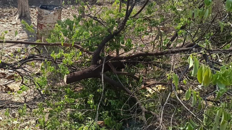 IMG_20250430_135917_314