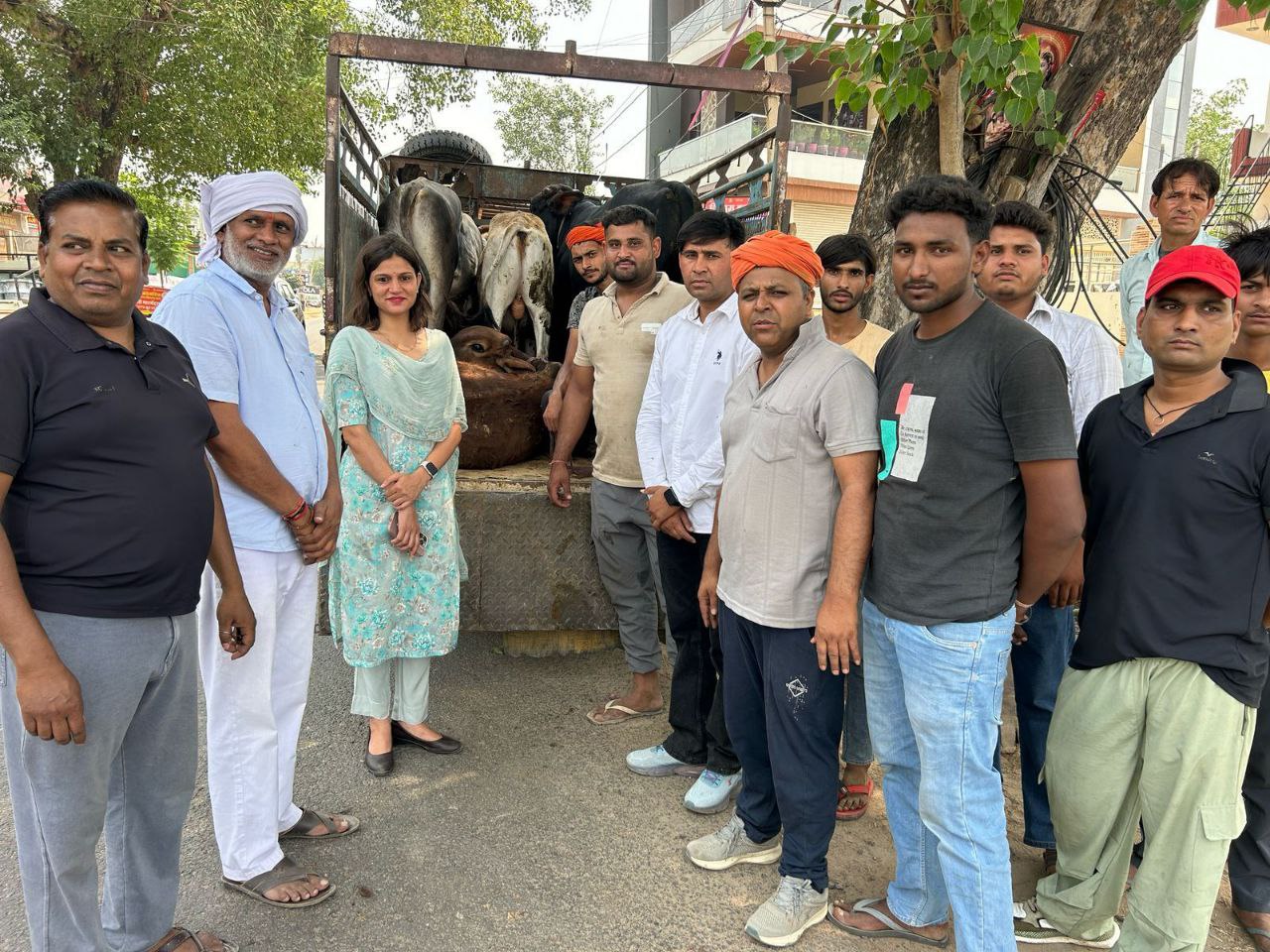 IMG_20250501_214341_941