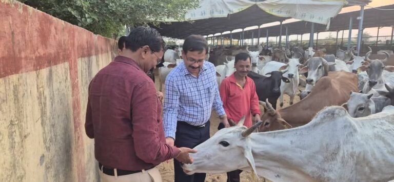 IMG_20250502_130123_972