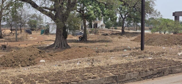 IMG_20250503_155456_218