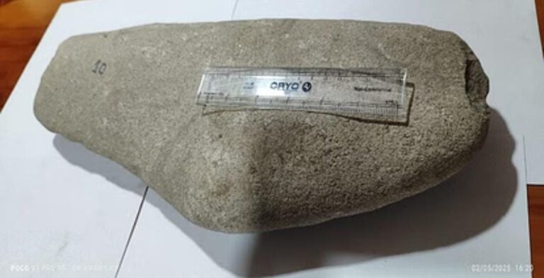 IMG_20250504_111327_712