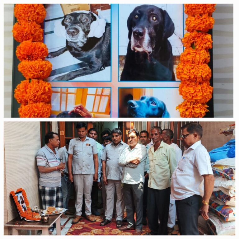 IMG_20250504_155835_261