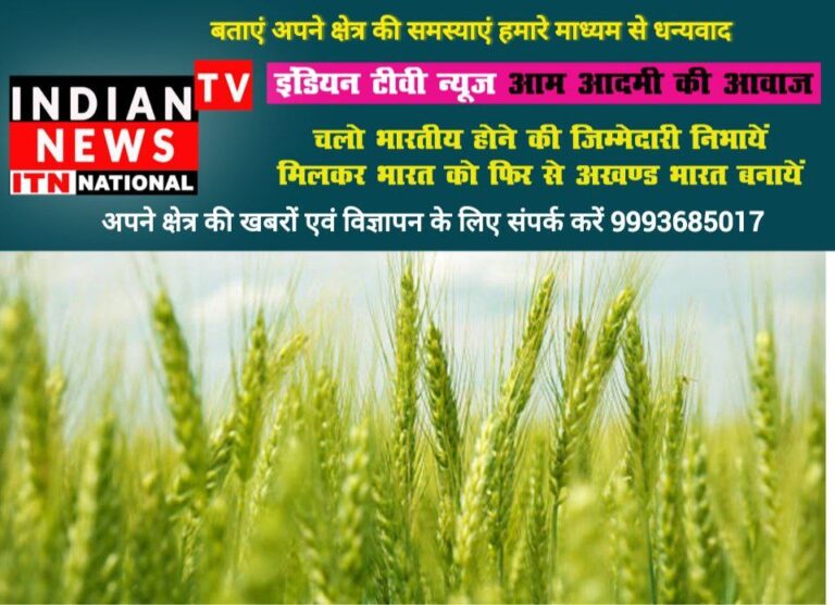 IMG_20250504_200146_160