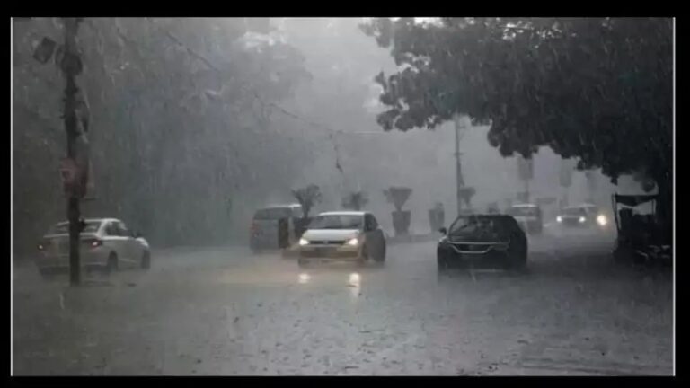 IMG_20250505_124714_708