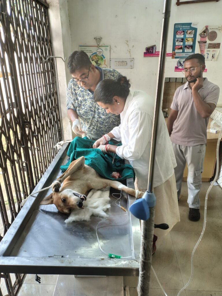 IMG_20250510_184109_378