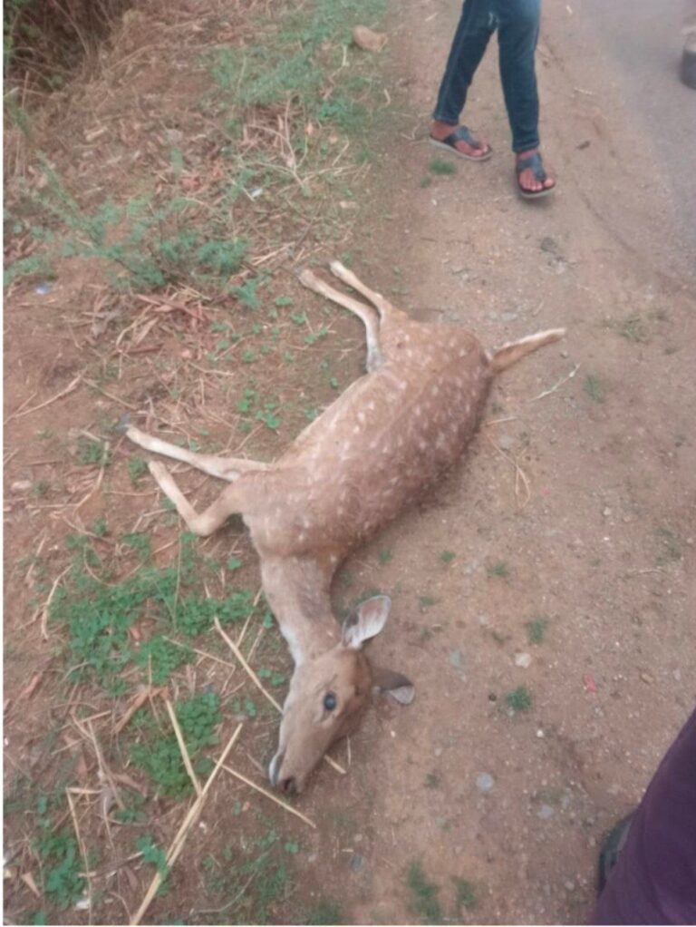 IMG_20250512_214526_314