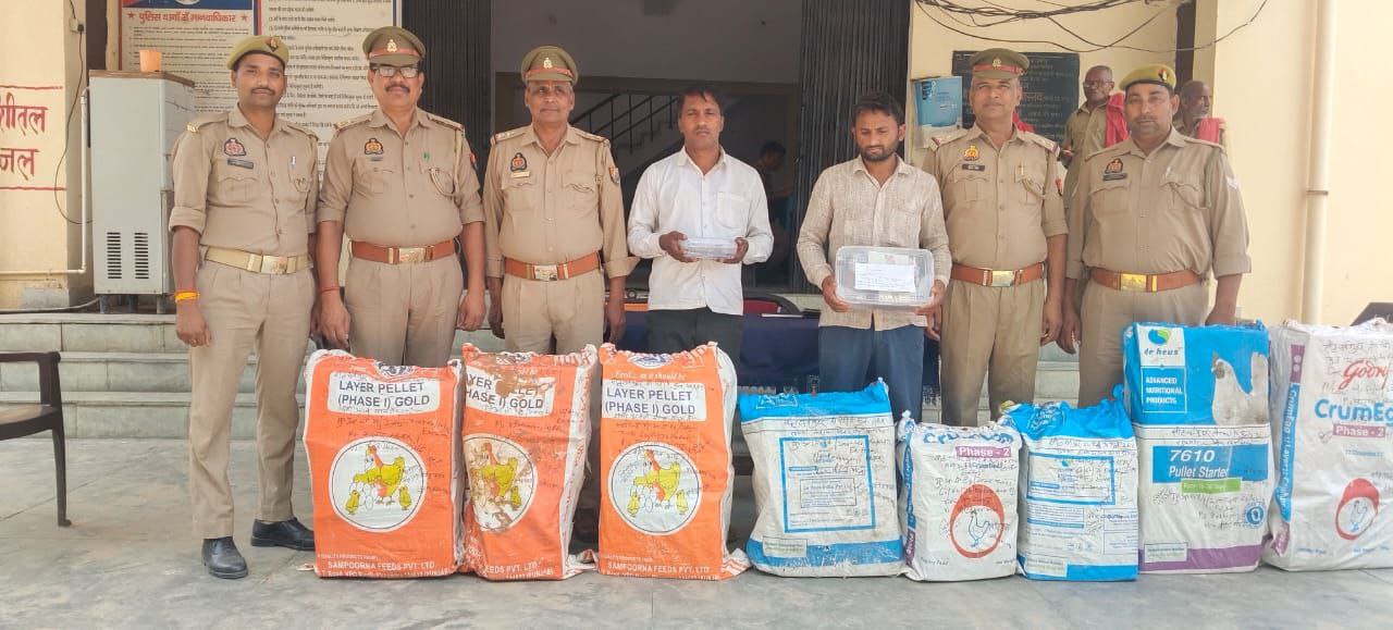 IMG_20250513_085007_037