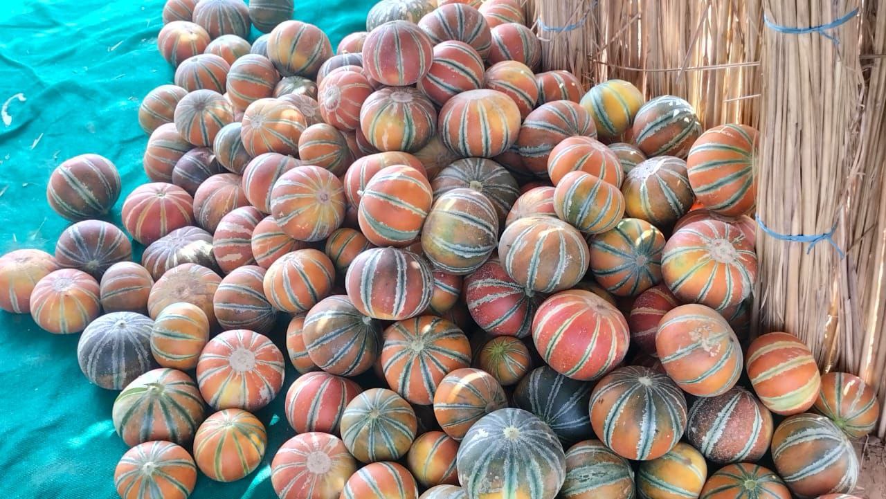 IMG_20250515_191413_785