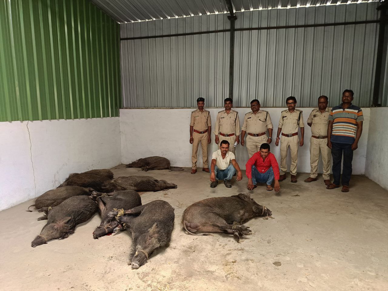 IMG_20250518_063254_576