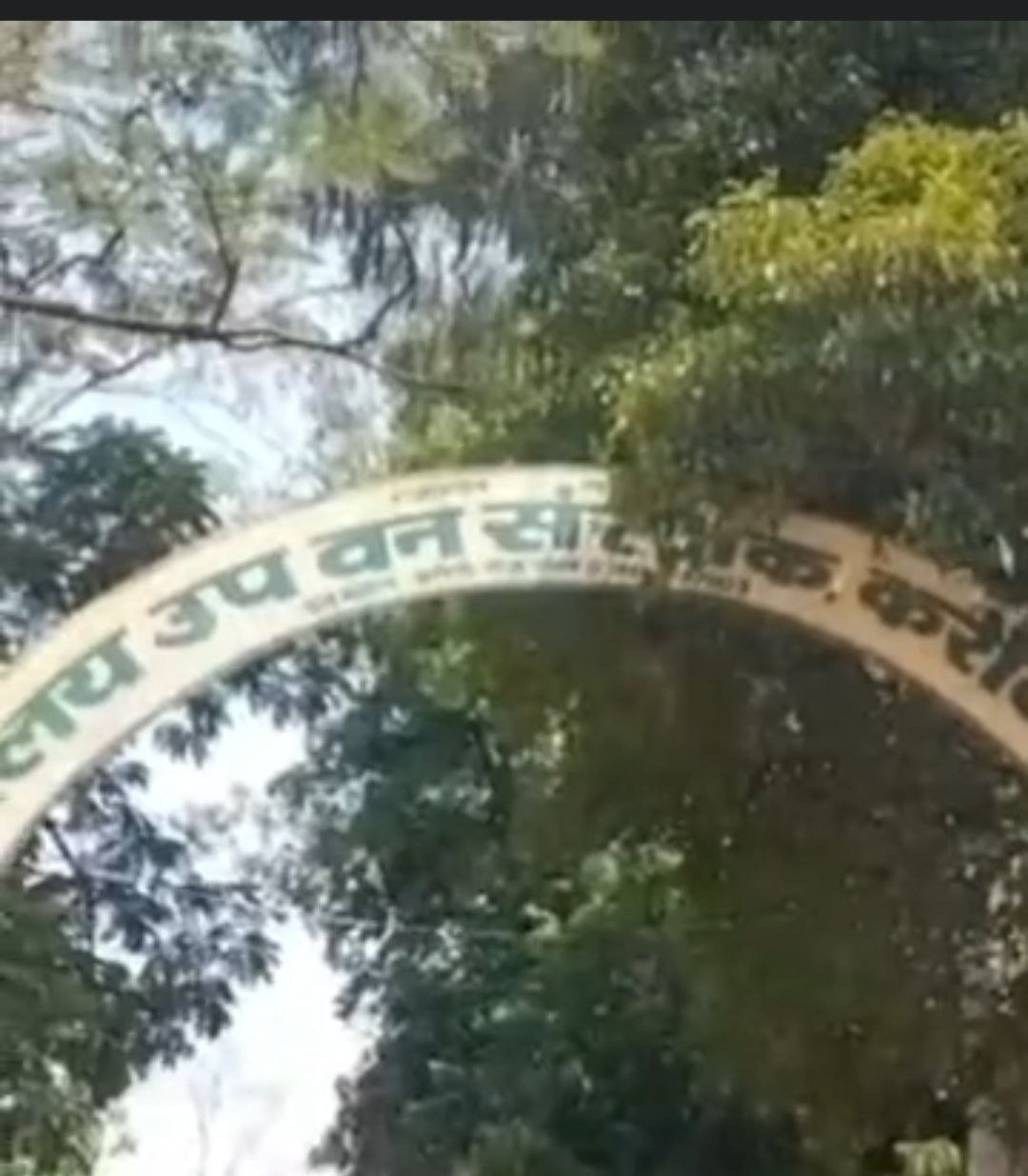 IMG_20250521_141814_455