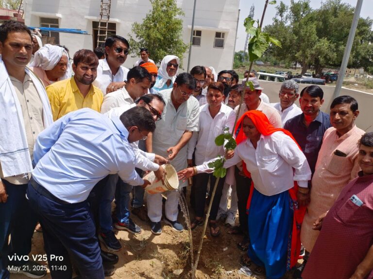 IMG_20250521_194842_245