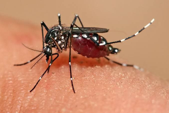 IMG_20250522_200426_711