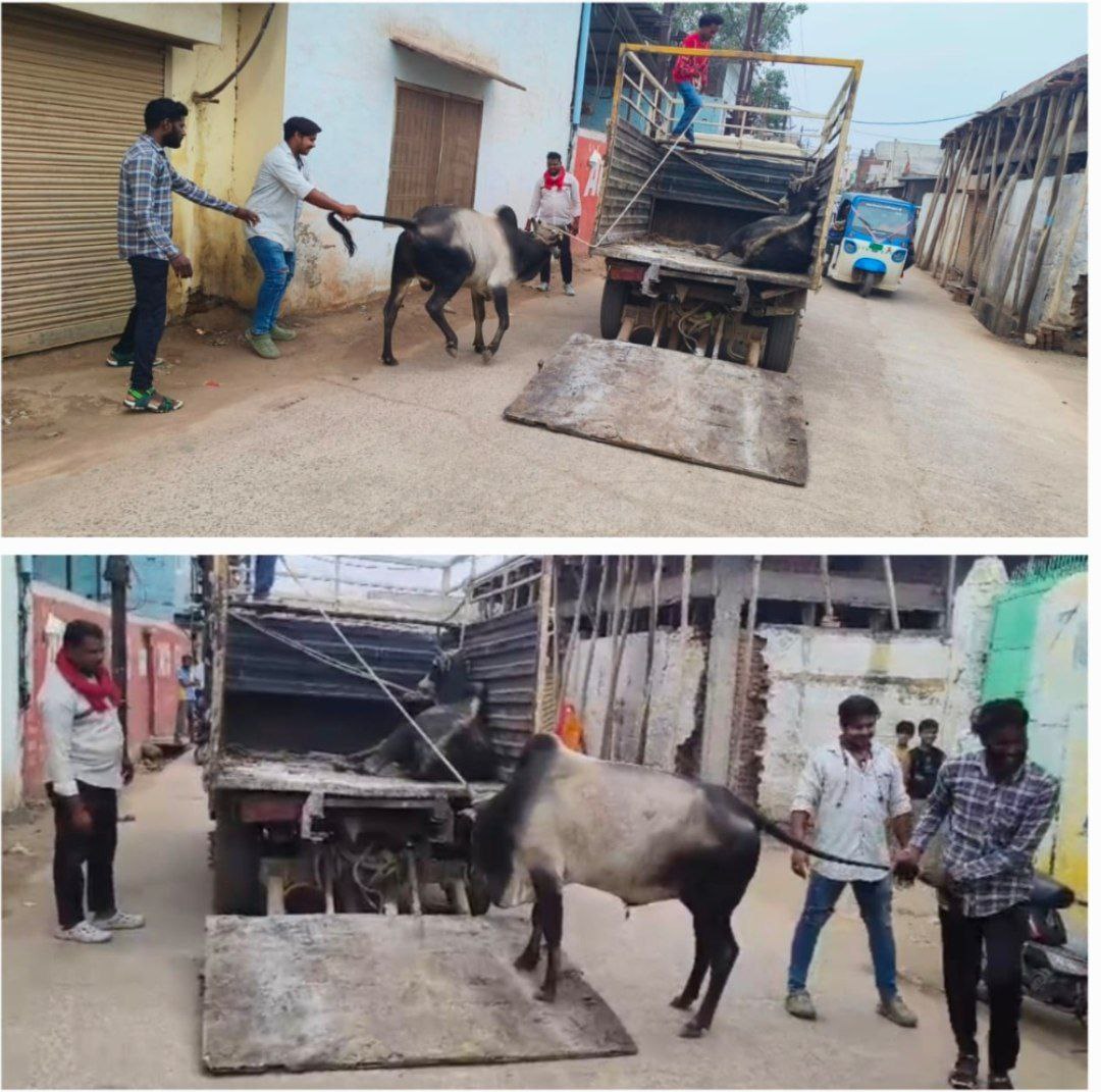 IMG_20250524_135955_295