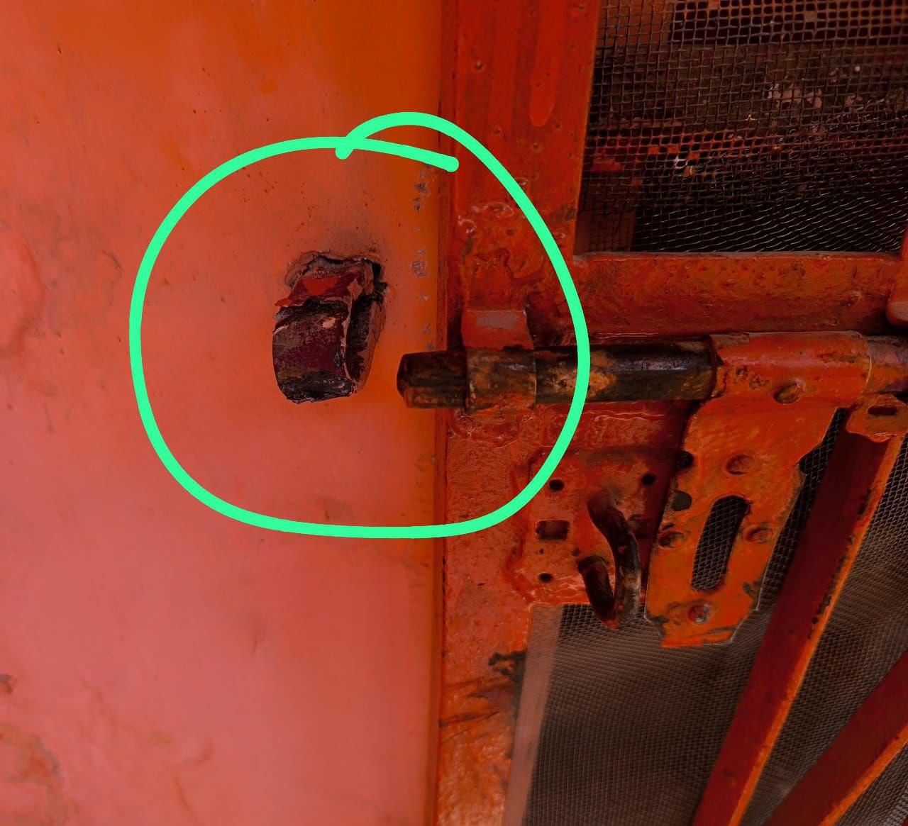 IMG_20250526_113956_464