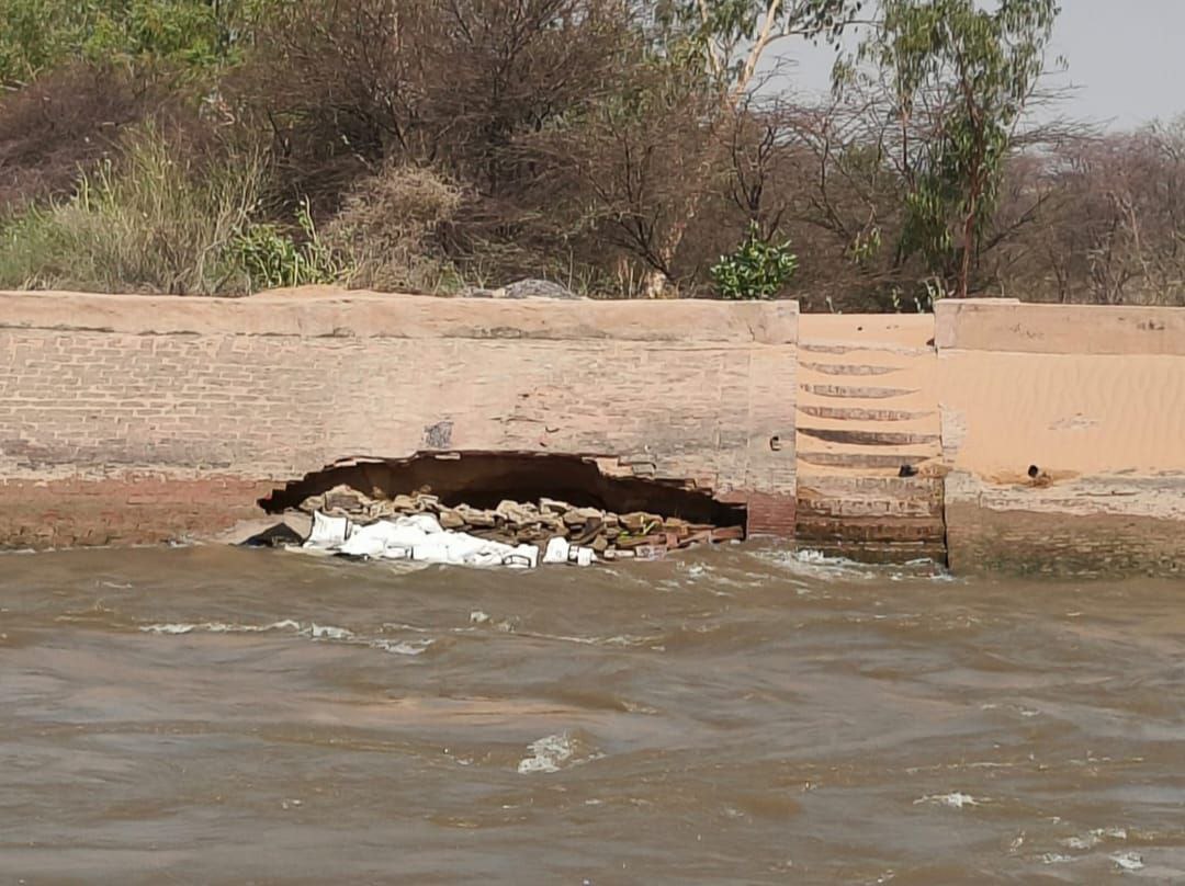 IMG_20250526_132702_947