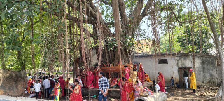 IMG_20250527_080648_995