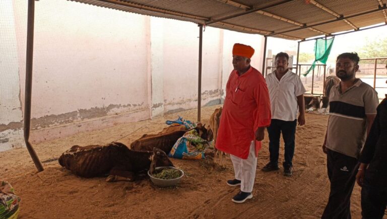 IMG_20250527_175818_897