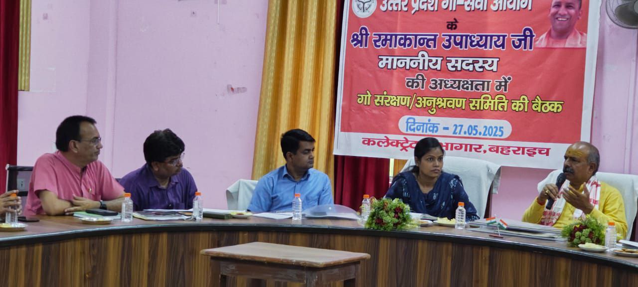 IMG_20250527_192940_791